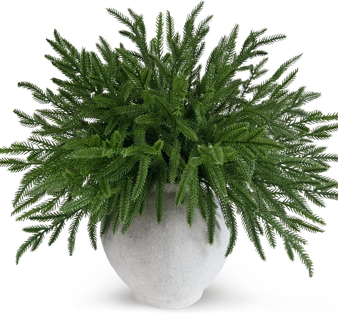 24 Pcs Real Touch Norfolk Pine Branches Christmas Decorations, 18 Inch Norfolk Pine Stems Greenery Xmas Picks Artificial Plants Home Decor for Vase DIY Garland Wreath Evergreen Winter Decor