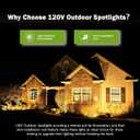REEGOLD Outdoor Spotlight Warm White 2700K, 10W LED Spot Lights Outdoor for Yard Garden Tree, 120V Plug in Landscape Lighting with IP65 Waterproof for Halloween Christmas Decor, 4 Pack