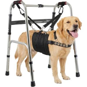 CWV Adjustable Dog Lift Harness for Large Dogs with an Adjustable Standing aid, Portable Dog Dling for Large Dogs Hind Leg Support, Soft Dog Harness for Senior, Disabled, After Surgery Dogs, Large