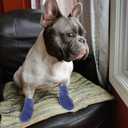 UKCOCO Waterproof Dog Boots Medium Size Non-Slip Outdoor Rain Shoes Protective Paw Covers for Dogs Durable Comfortable Wear