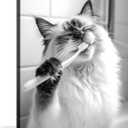 OWNANRTHM Cat Bathroom Canvas Wall Art Funny Animal Bathroom Wall Art Cat Brushing Teeth Bathroom Painting Black and White Animal Bathroom Pictures for Bathroom Restroom Wall Framed Poster 12X16 inch