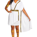 Morph Greek Goddess Costume - Women's Toga Costume, Halloween Goddess Outfit for Women, Greek Toga Dress Large