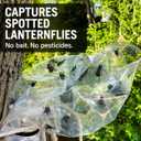 Spotted Lanternfly Tree Trap, Non-Toxic Wildlife-Safe Design, Made in USA