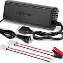 20A 12V LiFePO4 Battery Charger, 14.6V Lithium Battery Charger with M8 Terminals & Alligator Clips, Fast Charging, Over-Current and Over-Voltage Protection for 12V Lithium Iron Phosphate Batteries