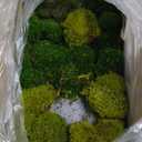 Moss No Bowl 4 Color Mix Pack Preserved Pole Moss Pillow Bun Cushion Natural Decorative DIY Kit Art Wall Florist Easter Decor (1.5 sq.ft, Green-A,B,C-D)