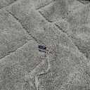 PURRUGS Dirt Trapping Door Mat 24" x 35.5", Non-Slip Machine Washable Entry Rug, Shoe Scraper, Dog Doormat, Super Absorbent Welcome Mat for Front & Back Door, Muddy Wet Shoes & Paws, Sage Green