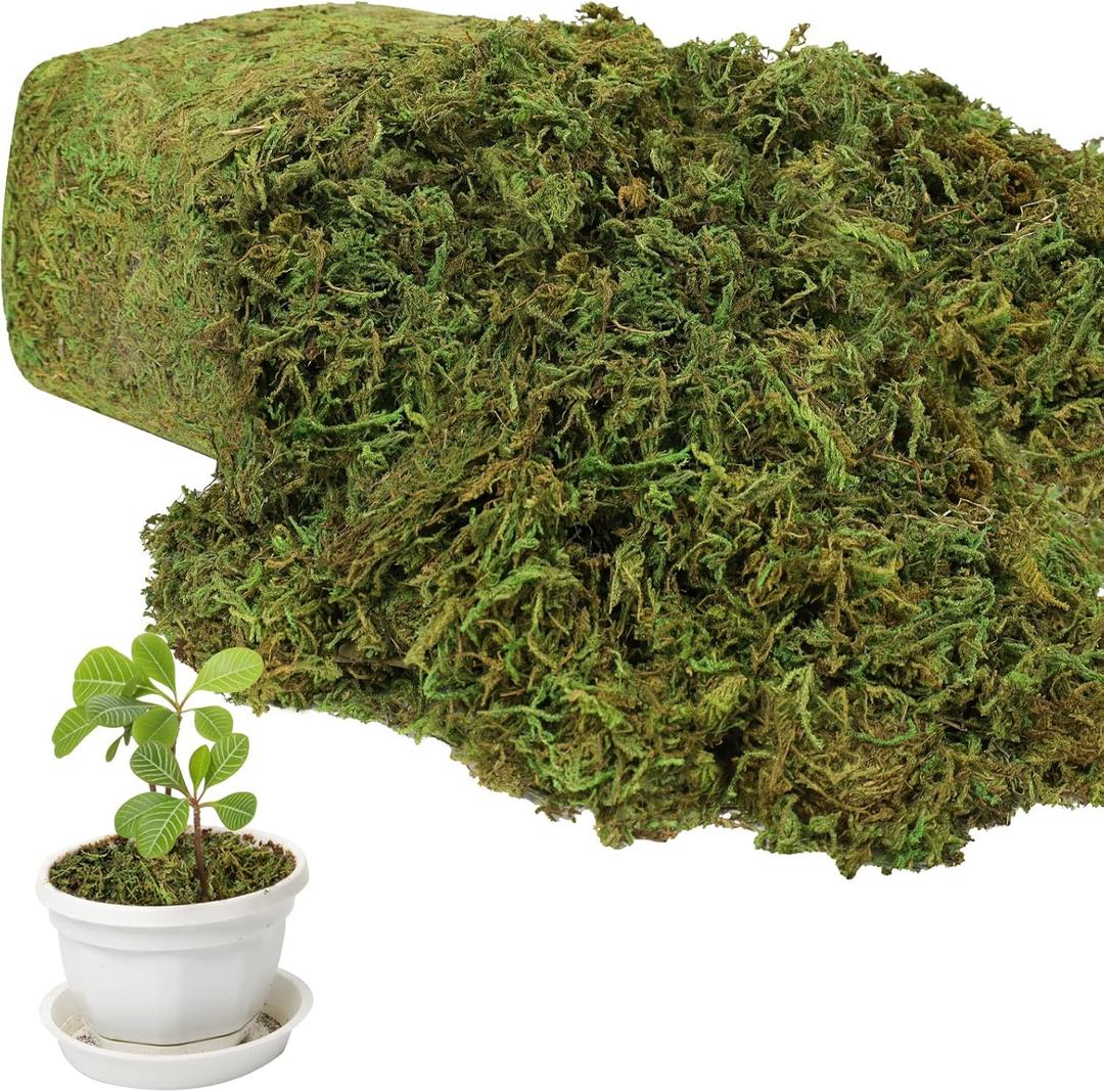 35 OZ Large Capacity Artificial Moss for Potted Plants,Natural Fake Moss Grass for Plants Indoor,Craft and Greenery Bulk for Hamsters(Fresh Green)