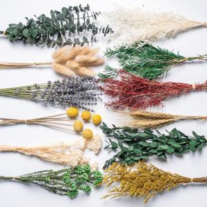 12kinds Natural Dried Flowers DIY kit ,10~12inch,Handpicked Including Lavender/Eucalyptus/Wheat,for Home Office Wedding Decor, Low-Maintenance