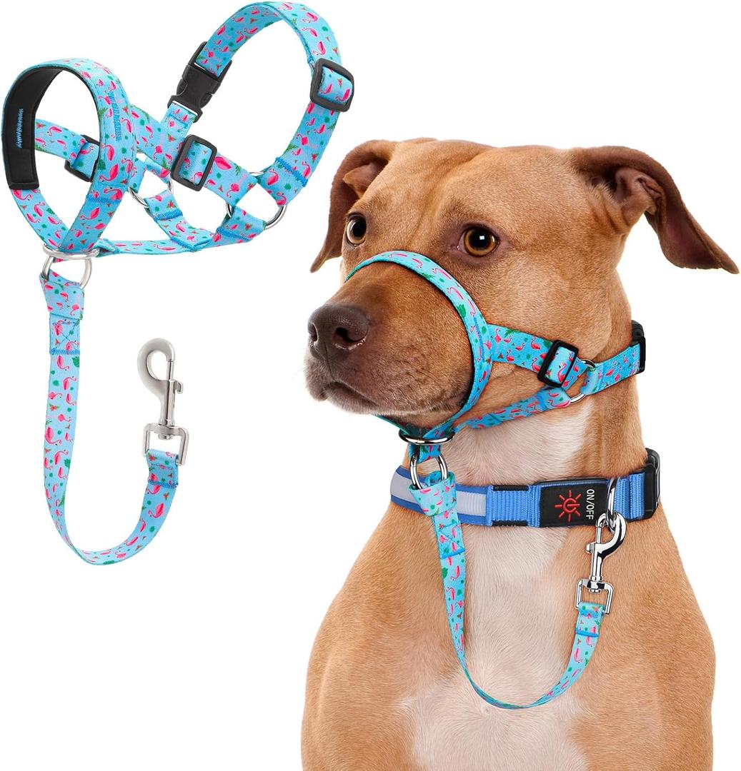 No-Pull Dog Head Collar, Print Head Halter Collar for Dogs, Gentle Lead to Stop Heavy Pulling, Anti-Pull Training Muzzle Leash for Easy Control on Walks (Blue, Small)