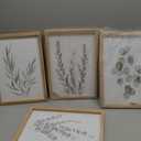 YWJKWLGS Botanical Watercolor Prints Sign Sage Green Eucalyptus Wall Decor 11x16 Inch Set of 4 Minimalist Wood Framed for Bathroom Laundry Room Office Wall Hanging Art (Wood)