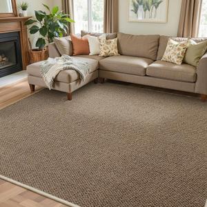 Faux Jute Area Rug 4'x6', Washable & Non-Slip, Taupe