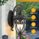 VIANIS Outdoor Lights for House Dusk to Dawn, 2 Pack Porch Lights Outside, Bronze Outdoor Light Fixture, Waterproof Exterior Lighting Fixtures for House, Doorway, Garage, Anti-Rust, Vintage Style, Down 2PK