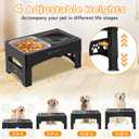 Raised Stainless Steel Style-US Black