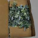 DearHouse Faux Eucalyptus Garland Plant, 2 Pack Artificial Vines Hanging Eucalyptus Leaves Greenery Garland for Wedding Backdrop Arch Wall Decor, 6 Feet/pcs UV Protected Indoor Outdoor