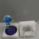 Mothers Day Rose Gifts for Mom Birthday Gift for Women, Rechargeable Galaxy Glass Rose in Glass Dome Crystal Eternal Roses Butterfly Mother's Day Flowers Gifts for Women Mom Wife Grandma Daughter Blue