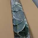 FLOWORLD Artificial Rubber Tree Plant 6ft Tall Faux Ficus Tree Potted Fake Tropical Plants Decorative House Plants Large Floor Artificial Trees for Home Office Decor, Without The Pot