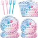 96 PCS Gender Reveal Party Decorations Boy or Girl Party Tableware Set Baby Gender Reveal Party Supplies for Baby Shower Serves 24