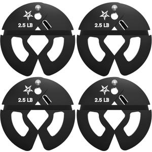 Yes4All Fractional Dumbbell Weight Plates, 2.5 LB Fractional Plates Pair & 4 Pieces Set, Micro Loading Clip On Weights for Strength Progression, Compatible with Rubber Hex & Adjustable Dumbbells