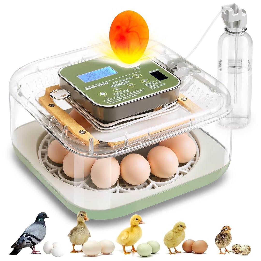 Incubator for Hatching Eggs Automatic Humidity and Temperature Control 12 Eggs Incubator, Digital Display Auto Turner 360 View Egg Candler for Chicken, Duck and Quail Bird Eggs