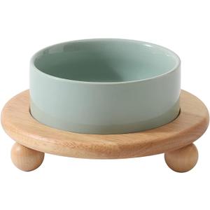 Havniva Ceramic Elevated Cat Food and Water Bowl, Kitty Bowl, Raised Cat Dish, Pet Feeder (5.1 in,1 x Light Green + Stand)