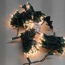 PREXTEX 300 Count Clear Christmas Tree Lights with Green Wire - 60 ft Warm White Christmas Lights for Indoor or Outdoor Use - Holiday Incandescent String Lights for Xmas Trees, Patios, and Fences