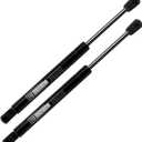 2PCs Rear Trunk Struts Compatible with 2005-2008 Chrysler 300 Gas Spring Charged Lift Supports Shocks Dampers PM3162, 6405, 8196247