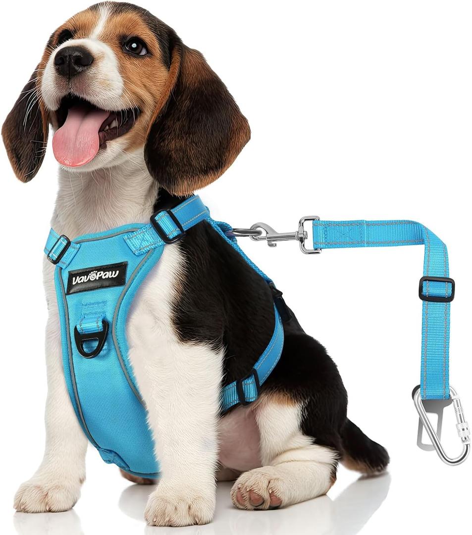 Dog Seat Belt Harness for Car, Dog Car Harness Adjustable Mesh Breathable & Dogs Seatbelt Safety Tether with Elastic Bungee for Small Medium Large Pets(Blue, M) (M (Chest: 19.7-26.4", Neck: 12.6-20.5"))