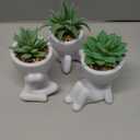 Der Rose 3 Pack Fake Plants for Office Desk Accessories Artificial Succulents Plants for Room Bathroom Home Decor for Women (White)