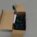 Warm Multi Color Christmas Lights - 20 ft String of 105 Incandescent Mini Bulbs Multifunctional Lighting Modes, for Decorative, Bedroom, Outdoor, Xmas Twinkle Tree Lights with Green Wire Total 21.6 ft, Green - Multicolor Lights, 105