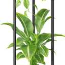 iDavosic.ly 2 Tier Corner Plant Stand Indoor, 30 Inch Tall Vertical Metal Flower Heavy Duty Pot Holder Shelf Outdoor for Patio Porch Living Room, Modern Black & Rustic Brown - Round