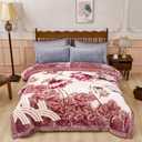 5.5 lbs Korean Mink Blanket 5979 inch,2 Ply Reversible Super Soft Cozy Luxury Bed Blanket., Throw 55x75 Inch