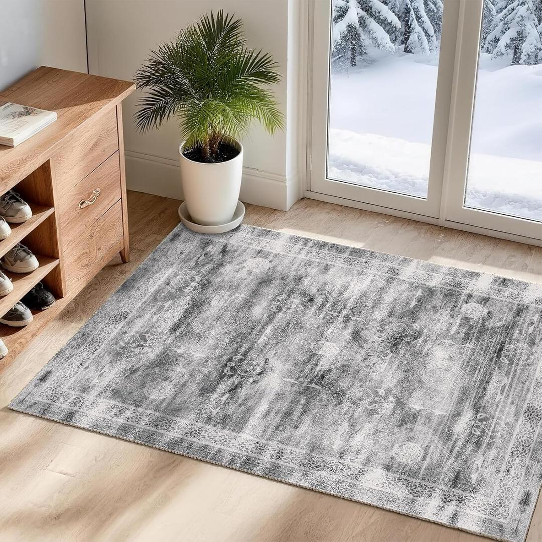 2x3 Small Area Rug for Front Door, Indoor Entrance, Washable Low-Pile Non-Slip Carpet, Durable Rug for Bathroom, Bedroom, Bedside, Kitchen, Grey
