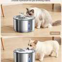NPET Stainless Steel Cat Water Fountain, 1Gallon/135oz Automatic Pet Drinking Fountain Dog Water Dispenser with 4 Replacement Filters for Cats Indoor