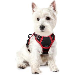 rabbitgoo Dog Harness No Pull with 2 Leash Clips, Adjustable Soft Padded, Reflective Oxford No Choke Pet Vest with Easy Control Handle for Puppy, Black & Red, XS