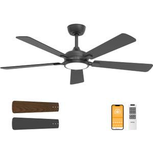 Ceiling Fans with Lights, 52 Inch Black Modern Ceiling Fan with Light and Remote Control, DC Reversible Motor, Noiseless, Dual Fan Blades, 6CCT, Fans for Bedroom, Living Room, Indoor and Outdoor Use