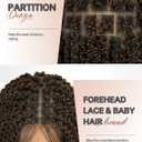 WIGER Ombre Brown Senegalese Twist Braided Wigs Full Double Lace Braided Wig Black Women Two Twist Braid Curly Wig Spiral Coiled Braid Wigs Pre Plucked with Baby Hair 24 Inch