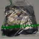 Rage is Consuming Me Silly Staring Cat Meme T-Shirt, S