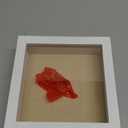 Freezing point Shadow Box Frame 8x8 Shadow Boxes Display Case with Linen Back Memorabilia Awards Medals Bouquet Photos Picture Badge Wedding Memory Box for Keepsakes White Small Pin Board White (88)