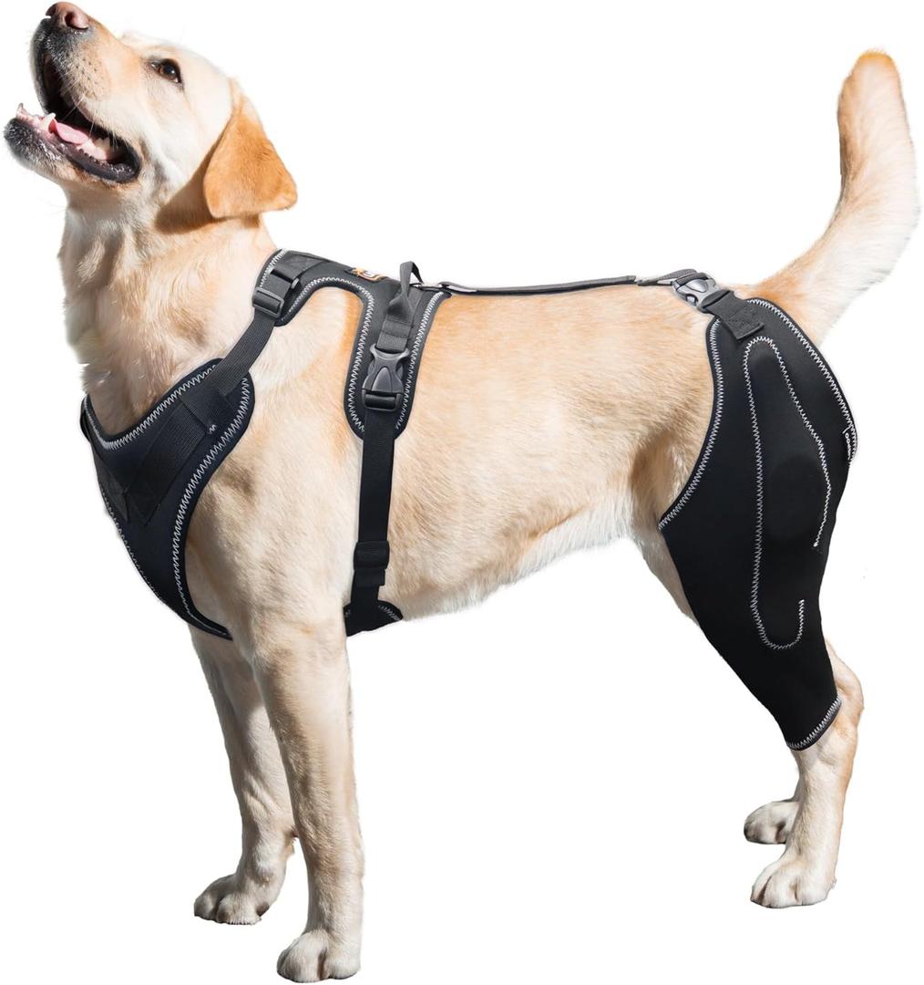 LISPOO Dog Knee Brace with Metal Hinged Support - Adjustable ACL Support Brace for Torn Ligaments, Luxating Patella & Arthritis, Breathable Strap Design for Large Dogs (Size L)