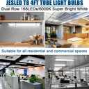 JESLED 4FT LED T8 Type A+B Tube Lights, 24W(65W Equivalent), 3200LM, 6000K Single or Double End Powered, Plug and Play or Ballast Bypass, 4 Foot T10 T12 Fluorescent Bulbs Replacement, Clear(12-Pack)