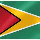Guyana Boat Nautical Flag 12x18IN Double Sided Guyanese Marine Banner Nylon Small Yacht Sail Pontoon ATV Bike Truck Motorcycle Flag with 2 Brass Grommets