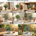 3 Pack Mini Potted Fake Plants Artificial Eucalyptus & Greenery Topiaries with 6 Butterflies,Artificial Plants for Shelf Desk Home Bathroom Farmhouse Room Coffee Table Decor