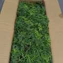 9FT Christmas Cedar Garland Artificial Realistic Green Faux Real Touch Winter Pine Garland for Mantle Fireplace Wall Table Indoor Outdoor Decoraiton