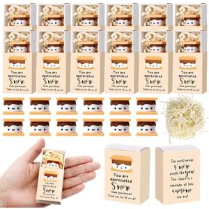 Wettarn 12 Sets S'More Appreciation Gifts Bulk Marshmallow with Box Party Favors Graduation Smore End of The School Year Thank You Gift for Teacher Employee Nurse Coworkers Staff Team Students Group
