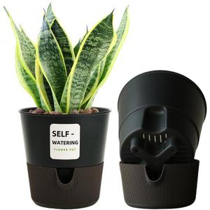 Flower and Plant Pot, Self Watering Plastic Plants Planter with Drainage Holes and Saucers, Modern Outdoor Indoor Decorative Flower Pot for Plants, Flowers, Herbs, Succulents (Grey, 6.5 inch)