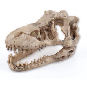 Dinosaur Skull Aquarium Dcor - Fish Tank Decoration Hideaway for Fish,Natural Look, 6.3"x4"x4" - Fun Underwater Environment! (6.3")
