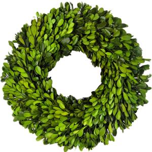 Preserved Boxwood Wreath 12 in by Tradingsmith
