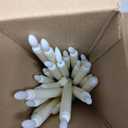 24 Pcs Flameless LED Taper Candles Battery Operated Candles 8.58'', 9.69'', 10.98'', 12.91'', 12.8'' Flameless Candlesticks Flickering for Halloween Christmas Church Wedding(Ivory)