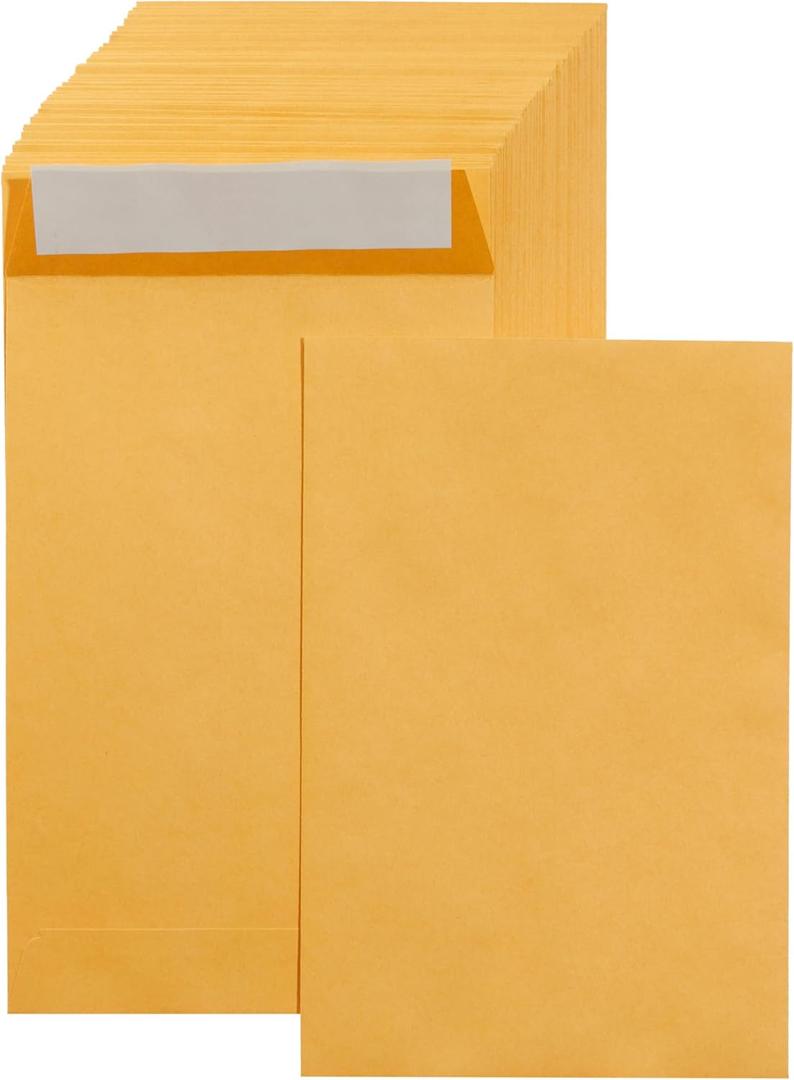 Amazon Basics Catalog Mailing Envelopes, Peel and Seal, 6x9 Inch, Brown Kraft, 250-Pack