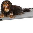 Amazon Basics Cooling Breathable Elevated Dog Bed with Metal Frame for Small Dogs, 36 x 22 x 7.5 Inch, Grey (Small (Pack of 1))